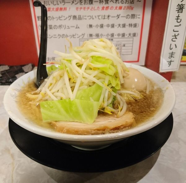 「特製らーめん 野菜中盛 ニンニク抜き」@麺屋けんしんの写真