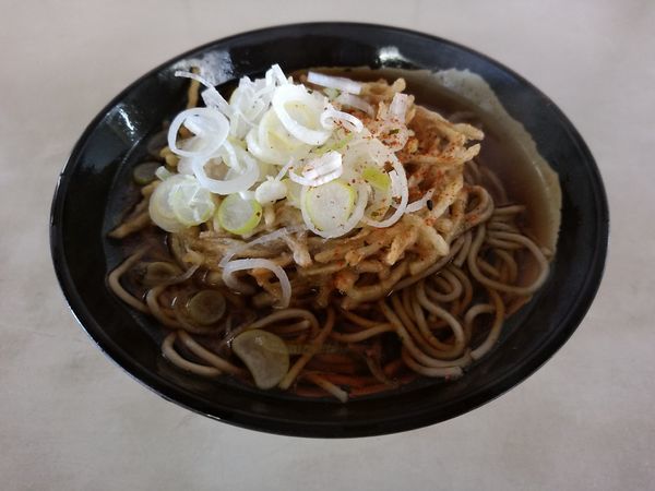 「ごぼう天そば(並盛)380円」@そば・うどん 八起家 西口店の写真