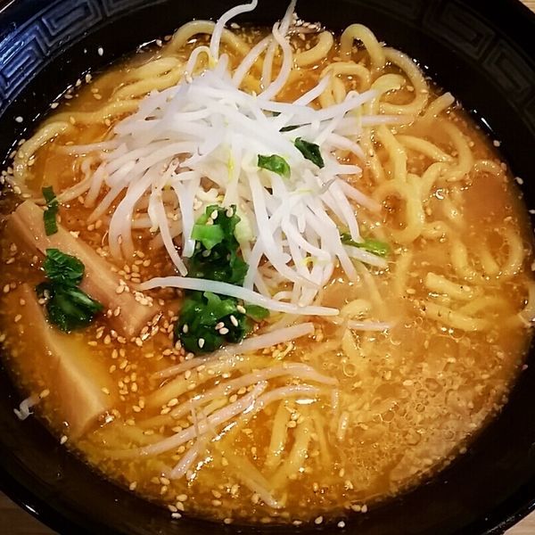 「みそラーメン ５００円（オープン記念価格）」@ラーメンあんずの写真