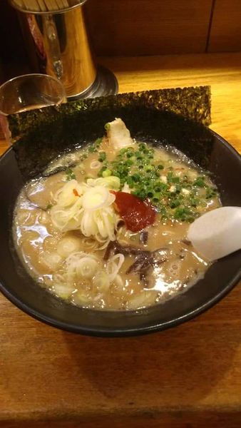 「かく」@茨城豚骨 とんこつ家 高菜の写真