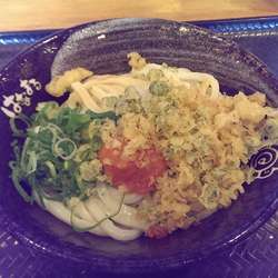 明太子おろしうどん、中,冷