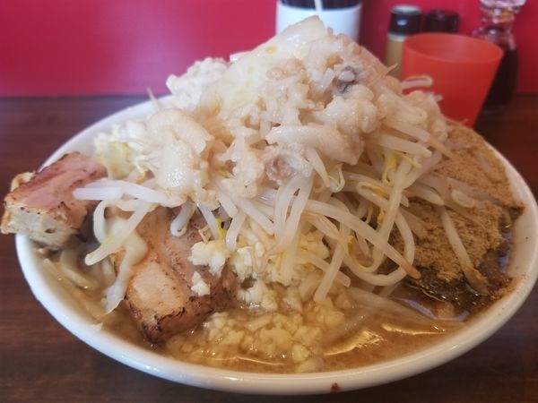 「ニンニクましまし野菜脂(魚粉)」@龍麺 ふえ郎の写真