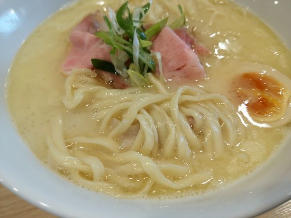 「鶏白湯麺 平打ち 麺大盛」@らーめんMAIKAGURAの写真