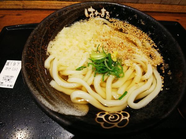 「かけ」@はなまるうどん 東武川越駅店の写真