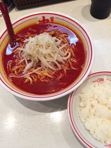 「北極ラーメン　830円　＋サービスライス」@蒙古タンメン 中本 高田馬場店の写真