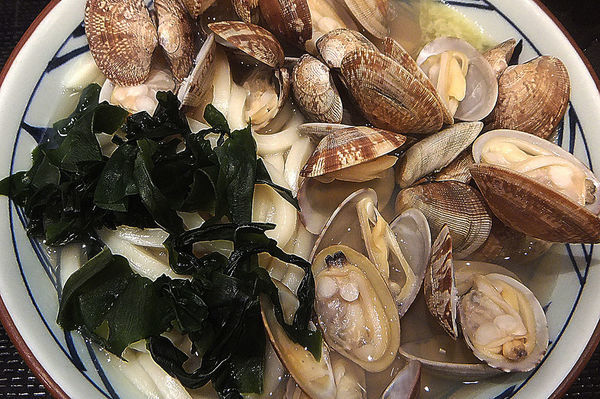 「春のあさりバターうどん(大)」@丸亀製麺 ララガーデン春日部店の写真