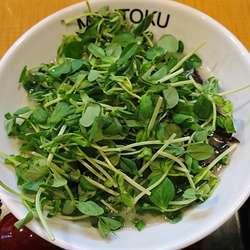 豆苗めん　８００円