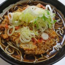 かき揚げ蕎麦、大盛、鮭おにぎり