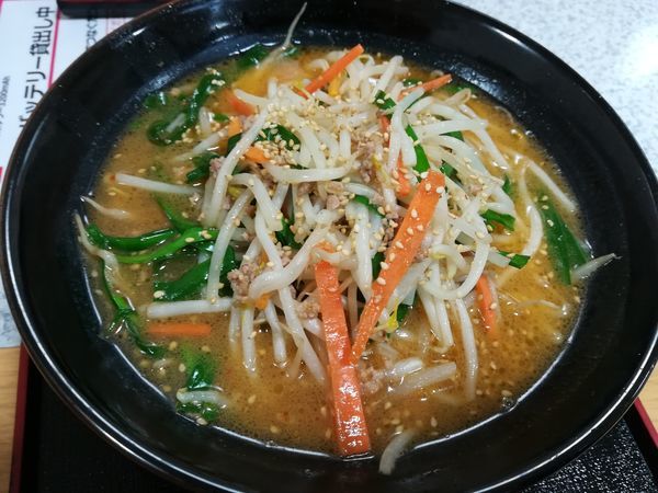 「3/31ニラ味噌ラーメン850円+肉餃子500円」@レストラン あさやの写真
