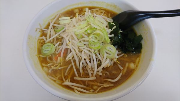 「カレーラーメン　６５０円」@ラーメンHOT めん花の写真