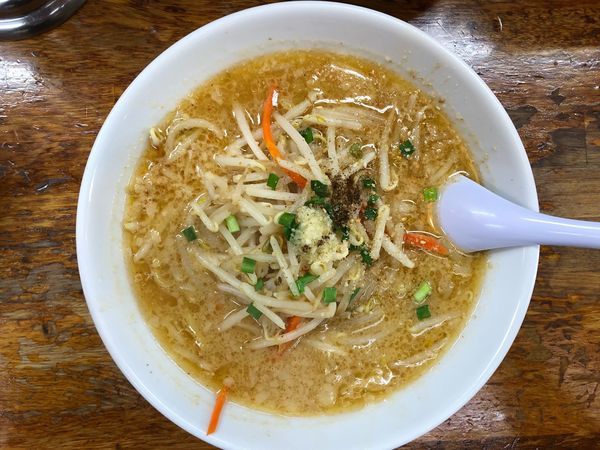 「味噌ラーメン」@ラーメンガキ大将 甲府大里店の写真