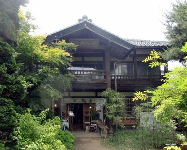 「揚げ野菜おろしそば」@いちの写真