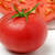 トマト