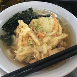 天ぷらうどん【420円】