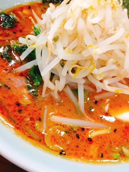 「赤味噌ラーメン」@いっぱち家の写真