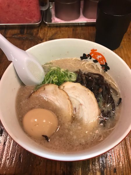 「味玉らーめん」@元祖博多だるま 博多デイトス店の写真