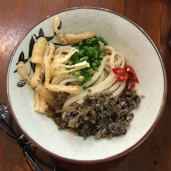「かけうどん 冷」@讃岐うどん河野の写真