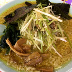 ネギラーメン　740円　カレースパイス　60円