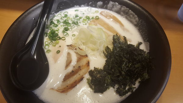 「鶏白湯 塩」@麺屋 雷 鶏’sの写真