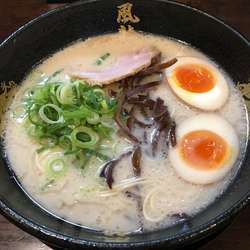 とんこつラーメン➕煮卵