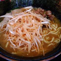 中盛り　辛ネギ　のり　他