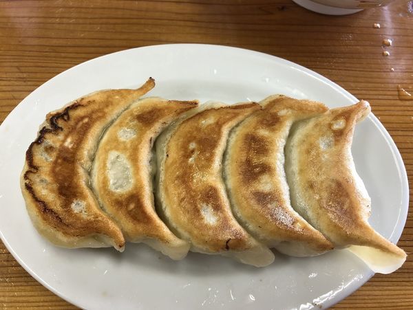 「餃子」@青竹打麺 ゆたかやの写真