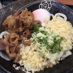 はなまるうどん アリオ北砂店の画像