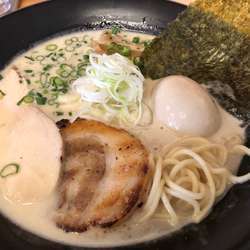 鶏白湯醤油ラーメン750円、味玉