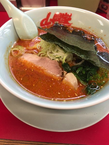 「辛みそラーメン」@山岡家 館林店の写真