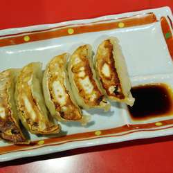 餃子(5個)半額セール  160円