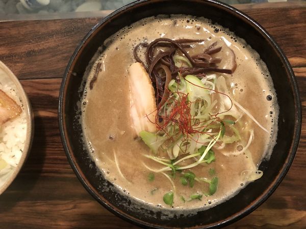 「濃厚鶏白湯らぁ麺＋煮干しラーメン」@トリイザカヤ コヤ麺の写真