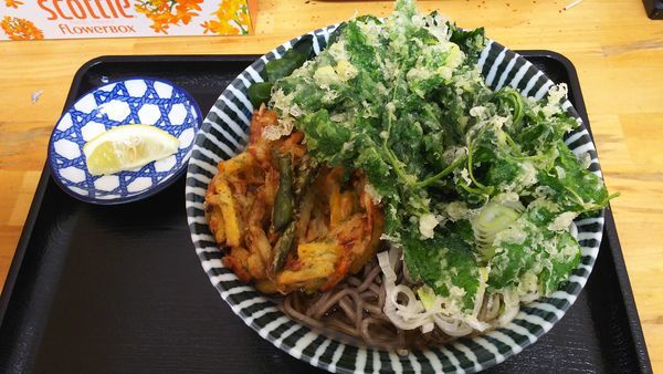 「冷やしそば+あしたば天+やさいかき揚げ」@稲浪の写真