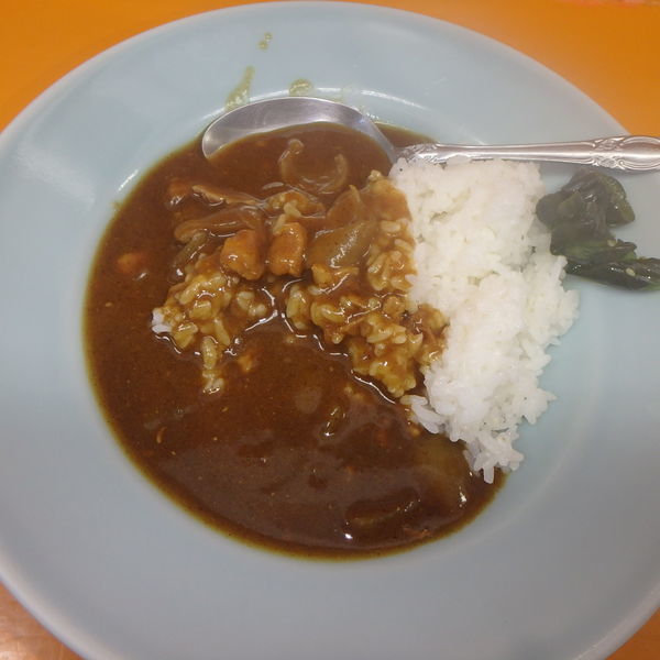 「ネギラーメン (500円)、半カレー(200円)」@ラーメンショップYAMANAKAの写真