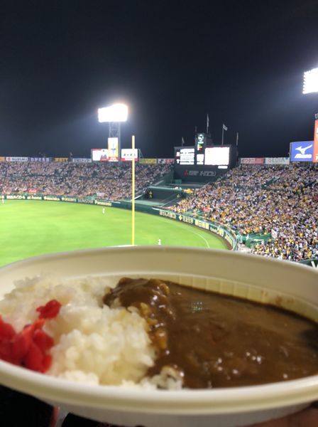 「甲子園カレー」@阪神甲子園球場の写真