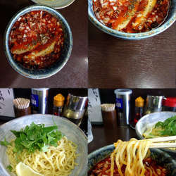 『鶏冷やしつけ麺 中盛+パクチー(￥770+50)』