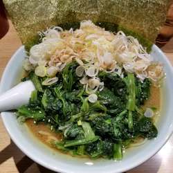 青菜らーめん・中盛+薬味ねぎ[サービス](1,060円)