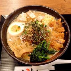 魚介豚骨カレーとろ肉カツスープ麺（中太麺 税別 950円）