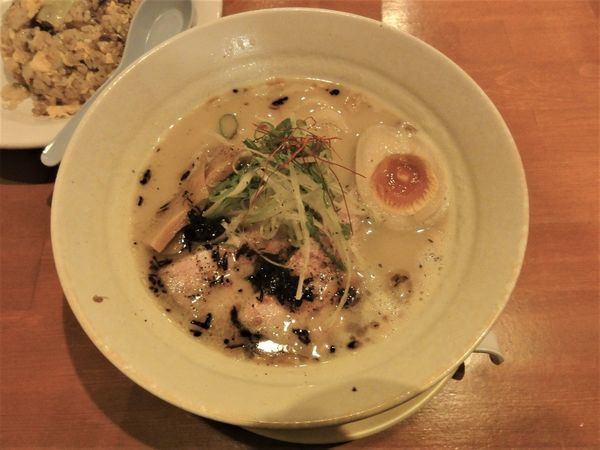「鶏元素　塩ラーメン」@麺元素の写真