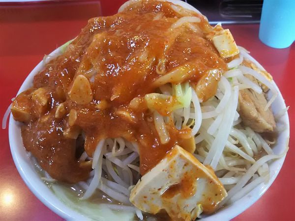 「フュージョン￥800」@蒙麺 火の豚の写真