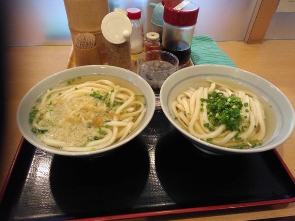 「かけうどん&ひやかけうどん」@讃岐うどん 條辺の写真