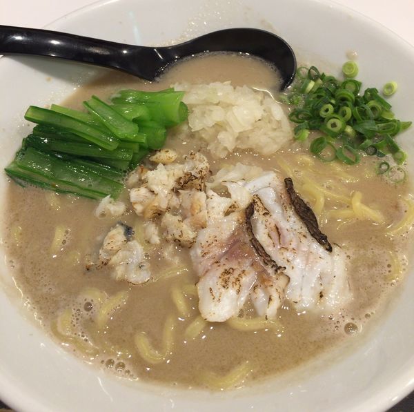 「濃厚真鯛白湯2nd」@海老・特濃煮干そば まるはの写真