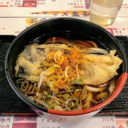 ナス天うどん