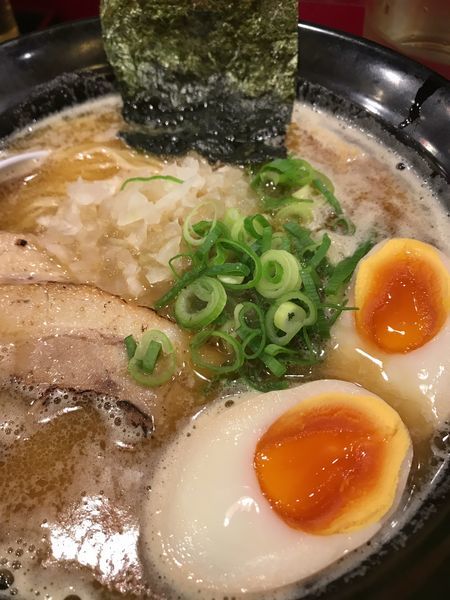 「味玉煮干中華ラーメン」@麺屋 Rai遥の写真