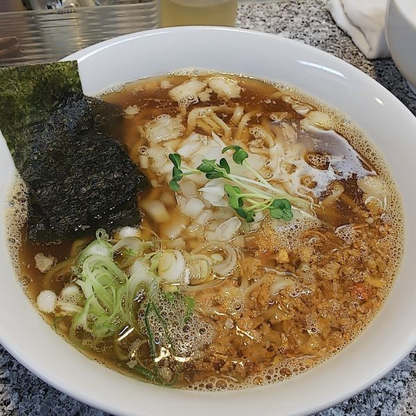 「【気まぐれ限定】どんべい（かけ風肉抜き）」@ラーメンとりとんの写真