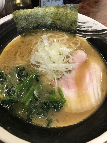 「豚骨ラーメン 細麺」@ラーメン 山虎商店∞の写真