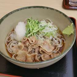 冷やし肉おろしそば