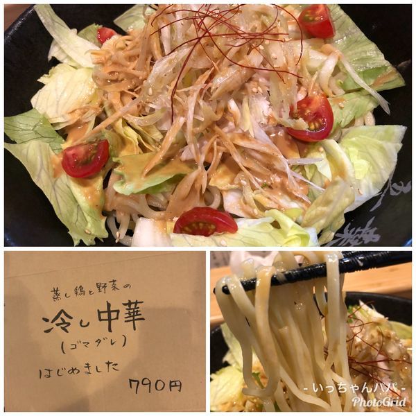 「蒸し鶏と野菜の冷やし中華（ゴマダレ）790円」@らーめん五葉 上福岡西口駅前店の写真