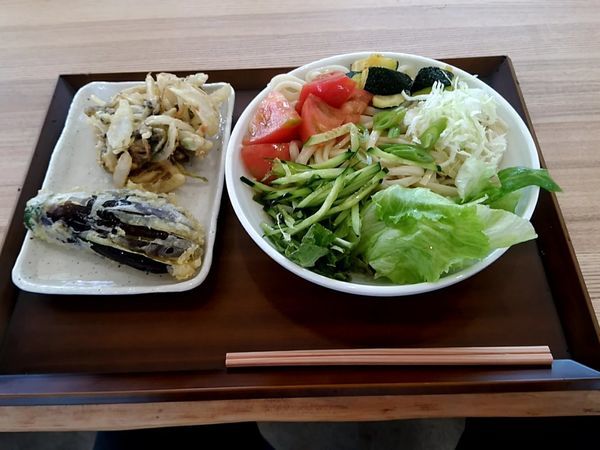 「サラダうどん(大盛)750円+かき揚げ130円+茄子110円」@名水うどん かたしな食堂の写真