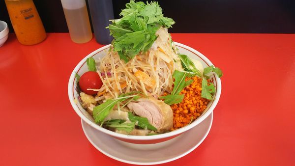 「冷やし中華(全マシ)」@鷹の目 獨協大学前本店の写真