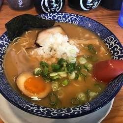 煮干し豚骨拉麺（麺:カタ）